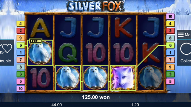 Silver Fox 5